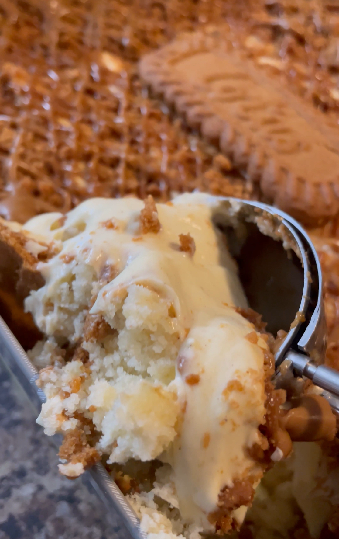 Cookie Butter Cake Banana Pudding Holiday Tin